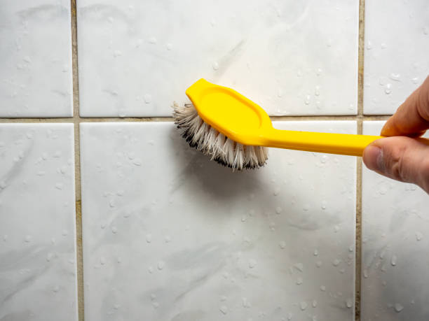 Certified Mold Removal in Caddo Mills, TX
