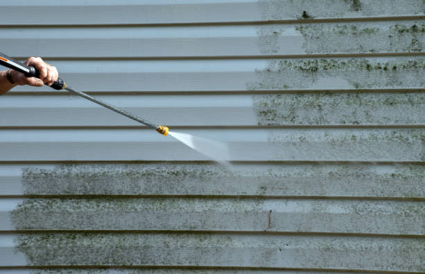 Attic Mold Removal in Caddo Mills, TX